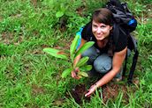 Tree planting project on the Kinabatangan River, Malaysian Borneo